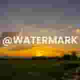 Video Watermark Remover
 Effaceur de Filigrane