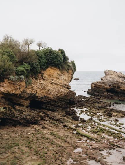 Landscape of the sea on a low tide