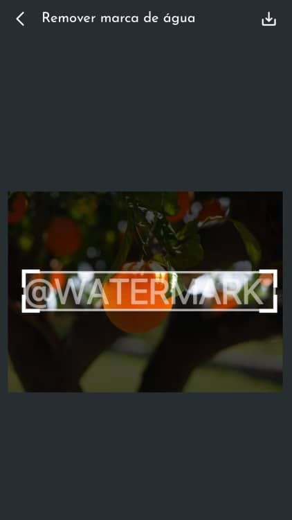 Remove Watermark Watermark Remover App Screenshot PT