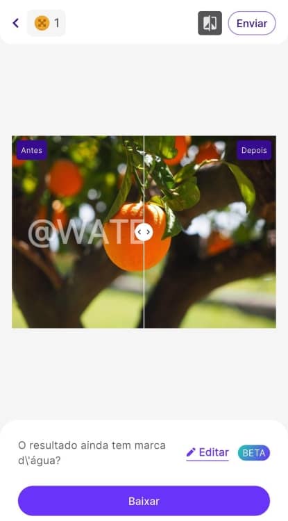 Remover Marca d'Água Watermark Remover App Screenshot PT