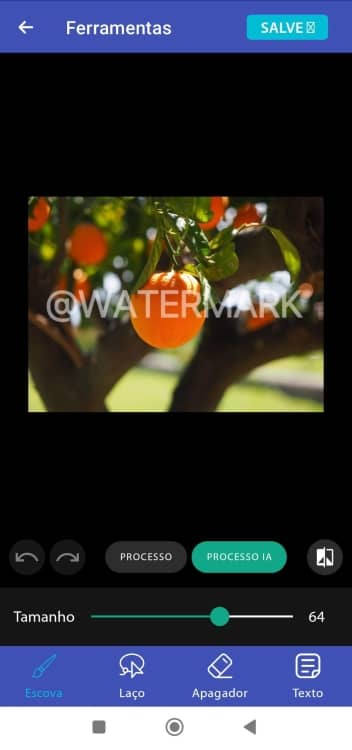 Remover Objeto Indesejado Watermark Remover App Screenshot PT