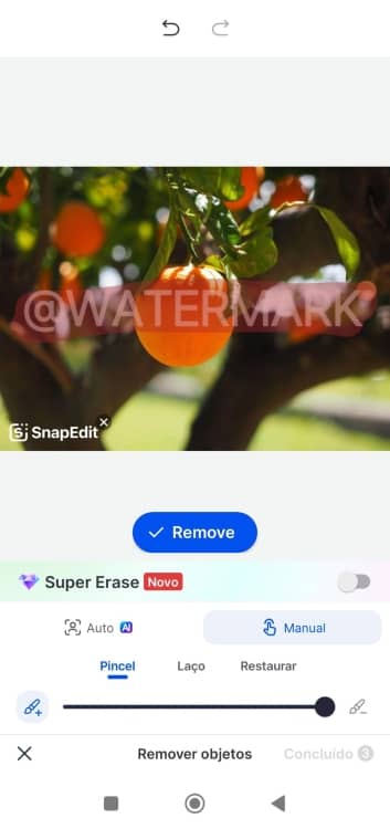 SnapEdit Watermark Remover App Screenshot PT