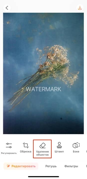 AirBrush App Screenshot RU - Image Watermark Remover remover