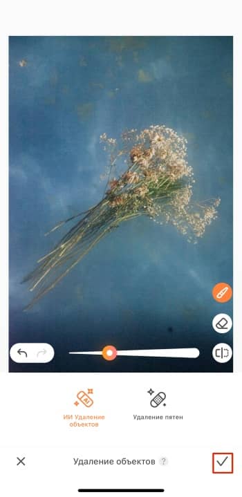 AirBrush App Screenshot RU - Image Watermark Remover result