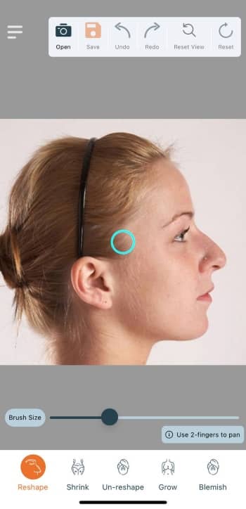 FaceTouchUp App Screenshot EN - Nose Job Simulator before