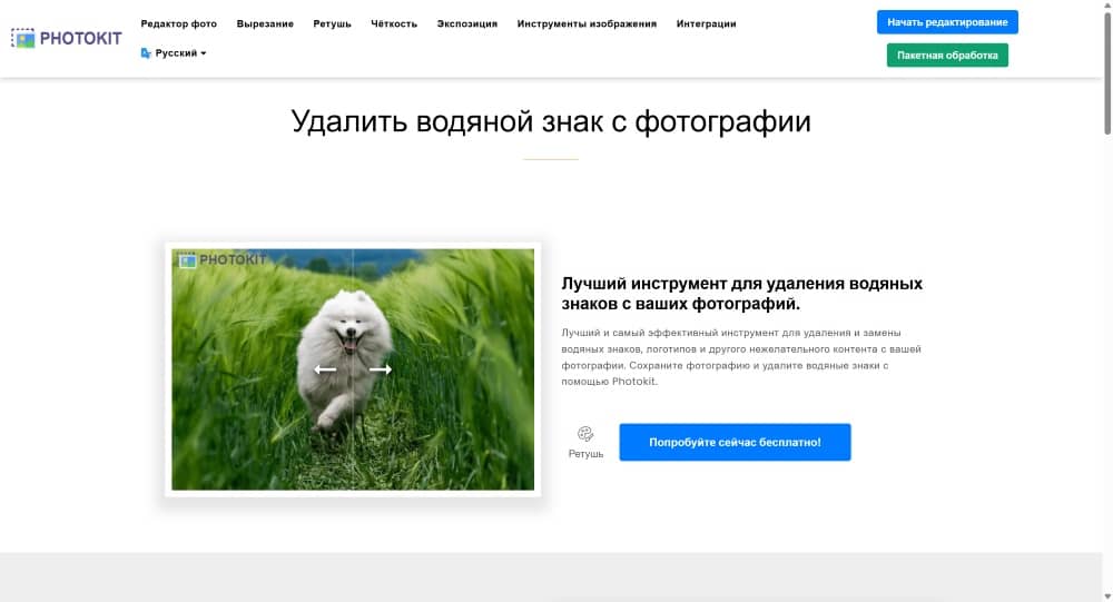 Photokit Web Screenshot RU - Image Watermark Remover