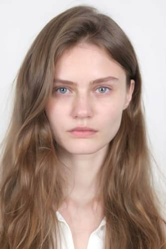 Celebrity Look Alike - Key Features before