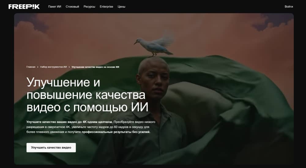 Freepik Web Screenshot RU - Video Enhancer main page