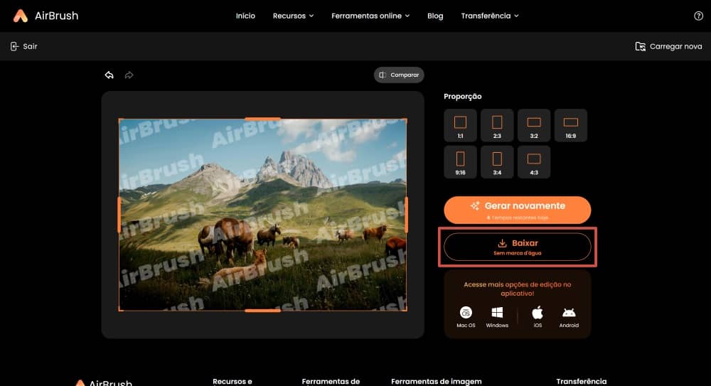AirBrush Web Screenshot PT - Image Extender download