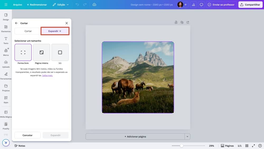 Canva Web Screenshot PT - Image Extender 2