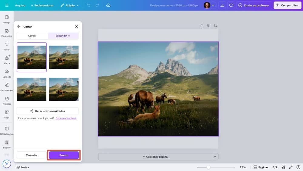 Canva Web Screenshot PT - Image Extender 3
