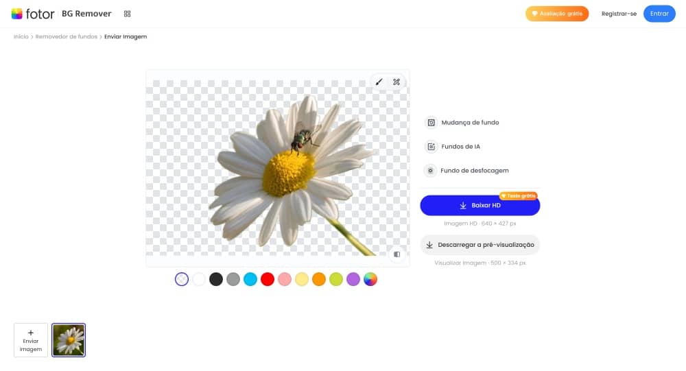 Fotor Web Screenshot PT - remove background result