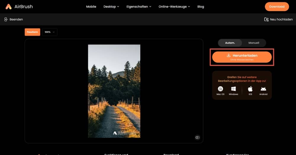 AirBrush Web Screenshot DE - watermark remover result download