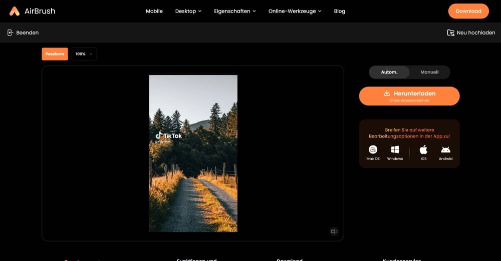 AirBrush Web Screenshot DE - watermark remover uploaded image