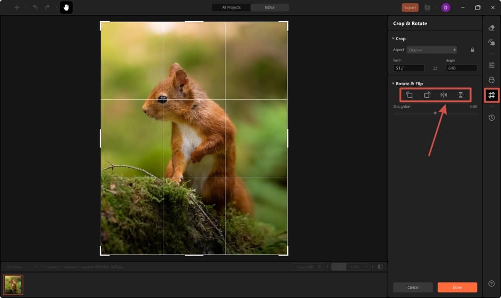 AirBrush Web Screenshot EN - invert image crop and rotate