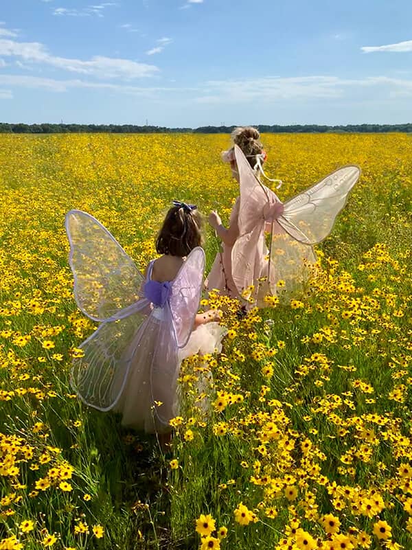 duas meninas vestidas de fadas em um campo de flores