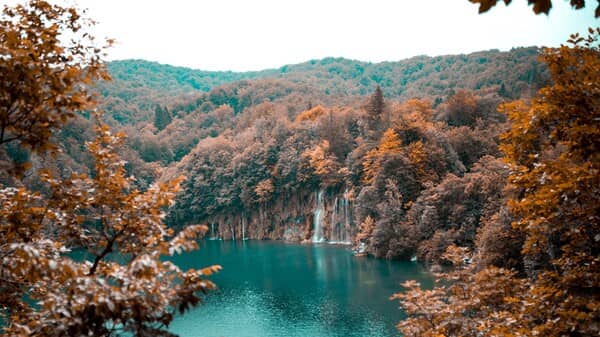 una bella cascada en el bosque