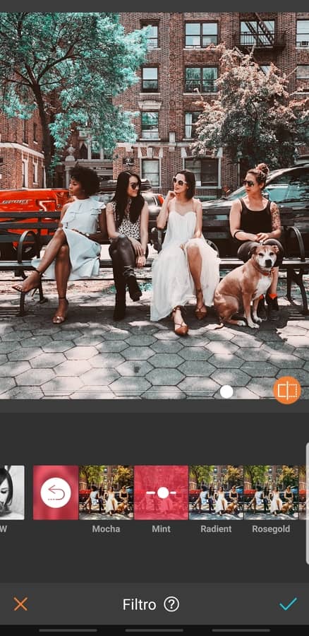 grupo de amigas sentadas en una banca en la calle