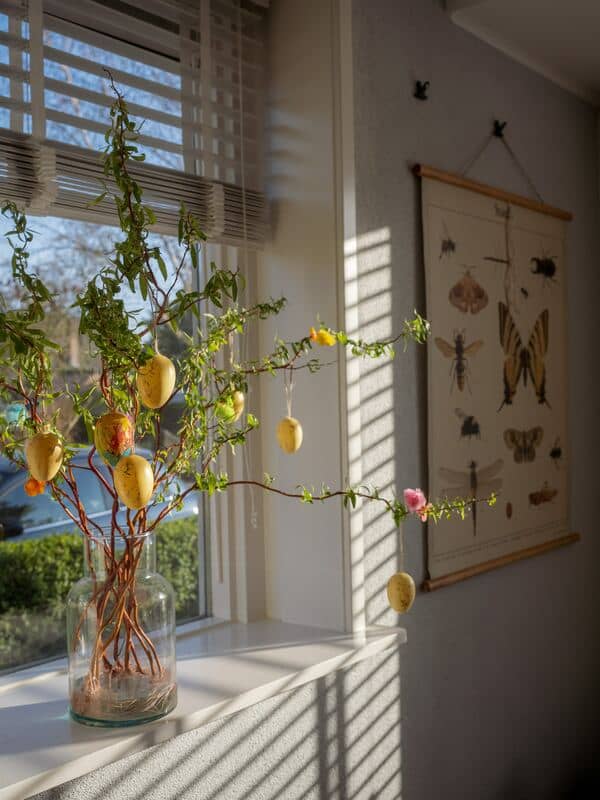 foto del interior de un carro con luz del sol y un árbol de limones