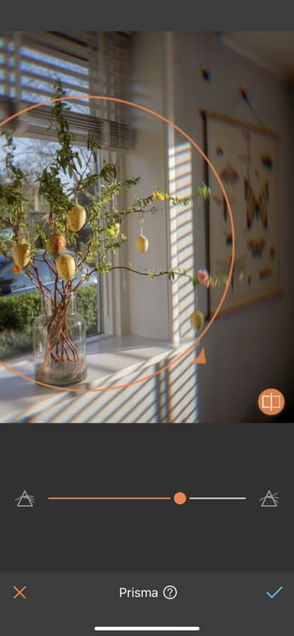 foto del interior de un carro con luz del sol y un árbol de limones