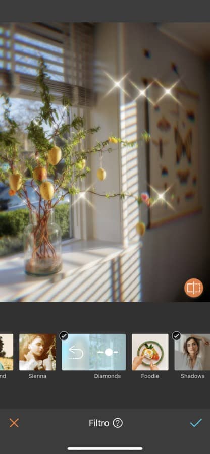 foto del interior de un carro con luz del sol y un árbol de limones