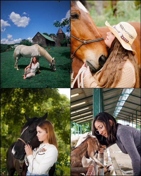 Faça fotos inspiradas na Fazenda