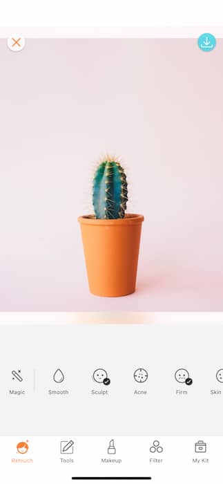 cactus plant in a glass pot in front of pink background