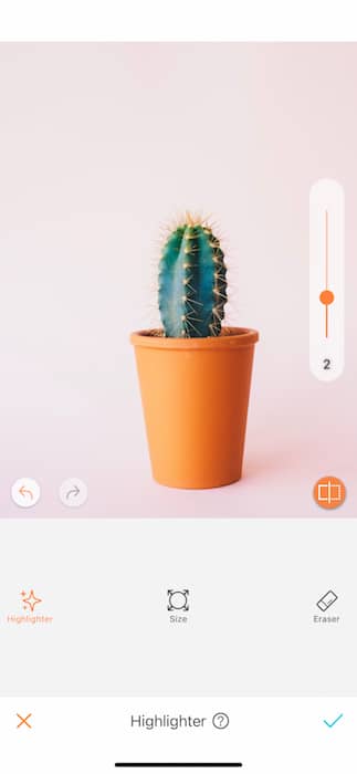 cactus plant in a glass pot in front of pink background