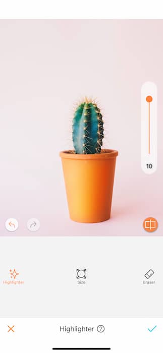 cactus plant in a glass pot in front of pink background