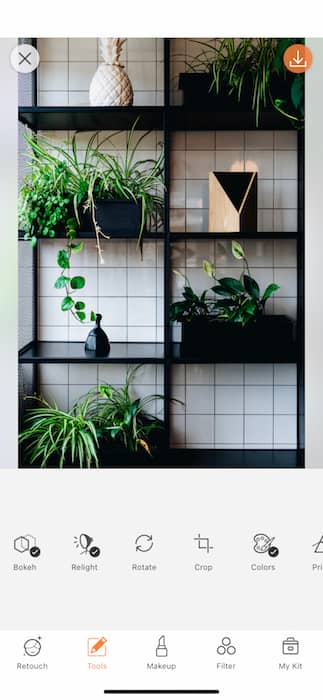 picture of a shelf with plants on it being edited by AirBrush