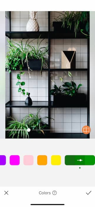 picture of a shelf with plants on it being edited by AirBrush