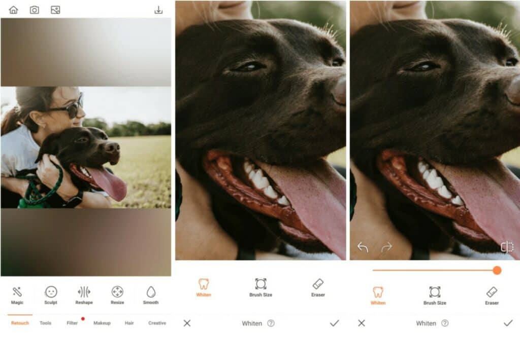 pet photos with teeth tool