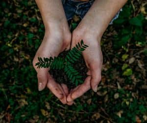 ¿Cuál es tu elemento natural?