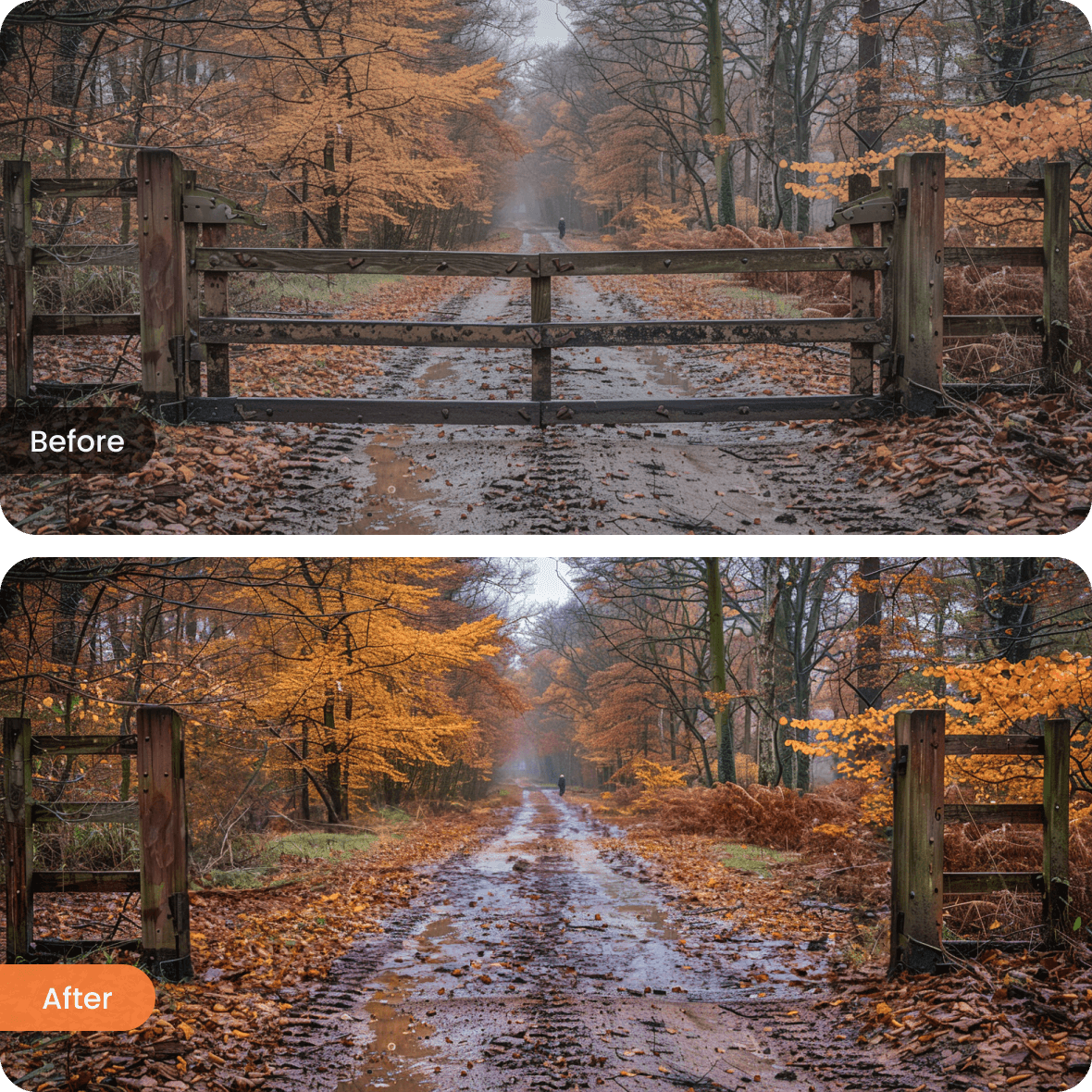 Elimina objetos no deseados en fotos de paisajes