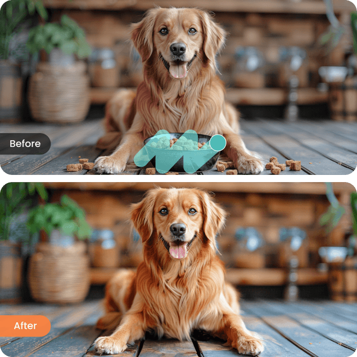 Enhance Pet Photos by Erasing Distractions