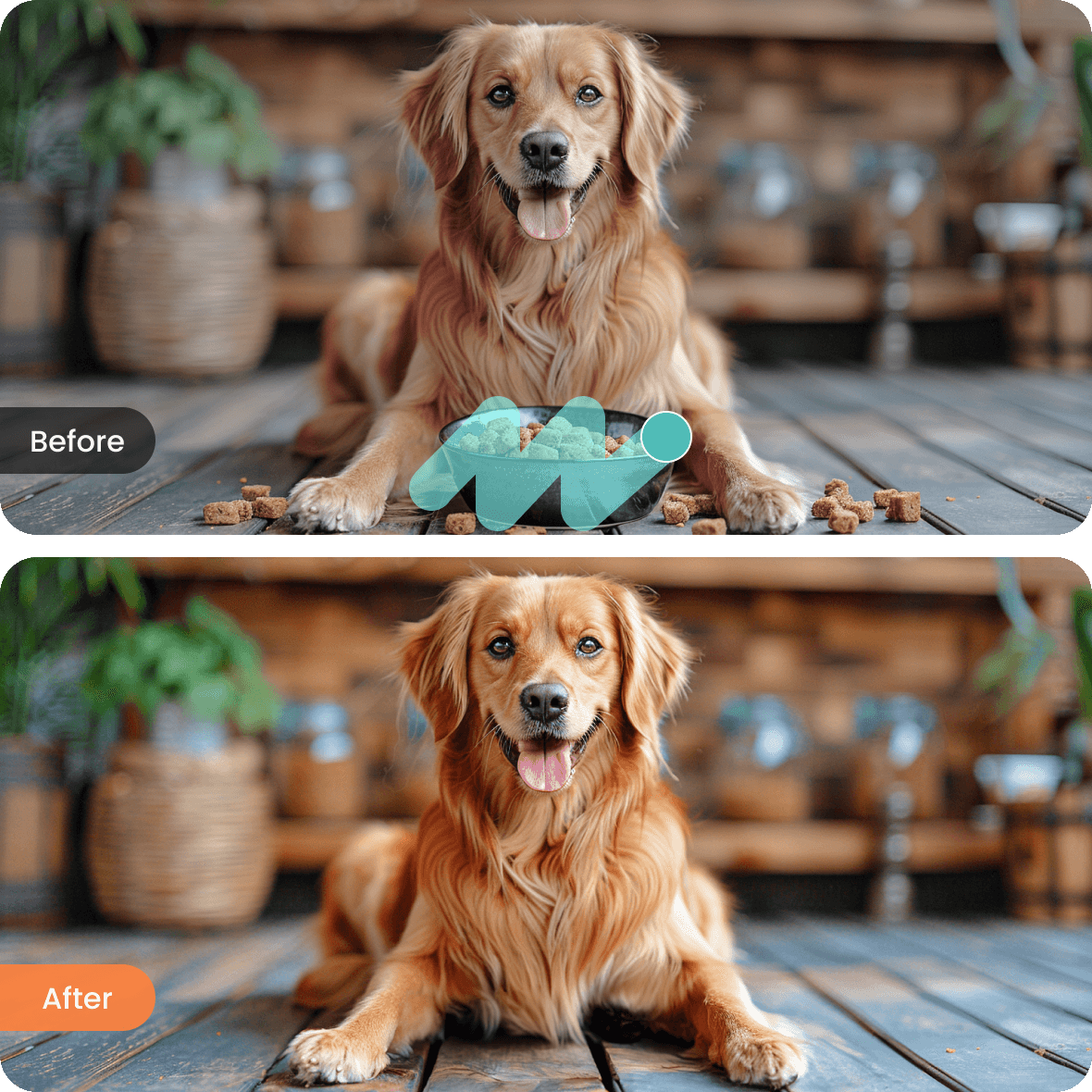 Mejora tus fotos de mascotas eliminando las distracciones